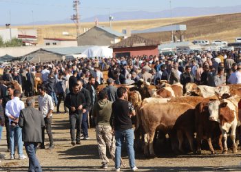 Şaptan sonra hayvan borsası açıldı ancak satış yapılamadı