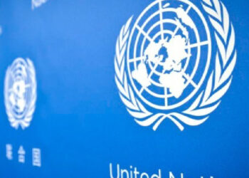 2024’te 50 bin kadın ve kız çocuğu öldürüldü: Küresel acil durum 2024’te 50 bin kadın ve kız çocuğu öldürüldü: Küresel acil durum