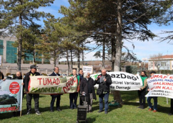 Çevre dernekleri: Tahribatın önüne geçilmesini istiyoruz