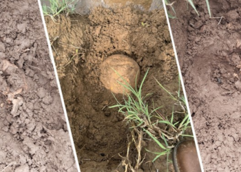 Lice’de bulunan kemikler biri çocuk 2 kişiye ait çıktı