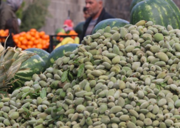 Badem Çağlası 5 kat artışla cep yakıyor