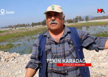 ‘Efes Antik Kenti’nin yağmalanmasına izin vermeyelim’