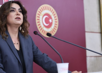 Koçyiğit: Bir an önce yasalar çıkmalı