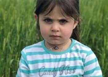 Leyla Aydemir davasında yeni gelişme