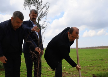 Amara Festivali’nin startı deklarasyon ve ağaç dikimiyle verildi