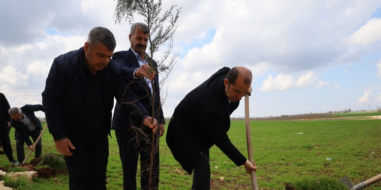 Amara Festivali’nin startı deklarasyon ve ağaç dikimiyle verildi Amara Festivali’nin startı deklarasyon ve ağaç dikimiyle verildi
