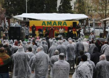 ‘Abdullah Öcalan’ın statüsünün resmi olarak kabul edilmesi gerekir’