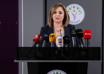 Ayşegül Doğan: Meclis Komisyonu’nun görevi yasal çerçeveyi belirlemektir