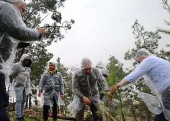 Festival kapsamında Hawag’da yürüyüş ve fidan dikimi
