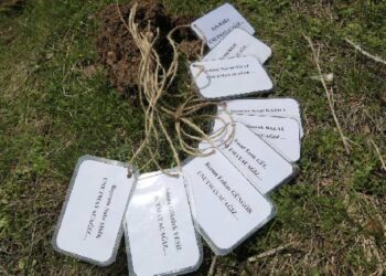 Hayatını kaybeden öğrenciler için fidan dikildi