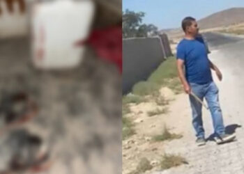 Kürt işçilere ırkçı saldırıda tutuklama yok