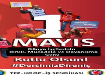 Mustafa Durmuş: 140 yıl sonra 1 Mayıs’ta Dünya ve Türkiye işçi sınıfının durumu