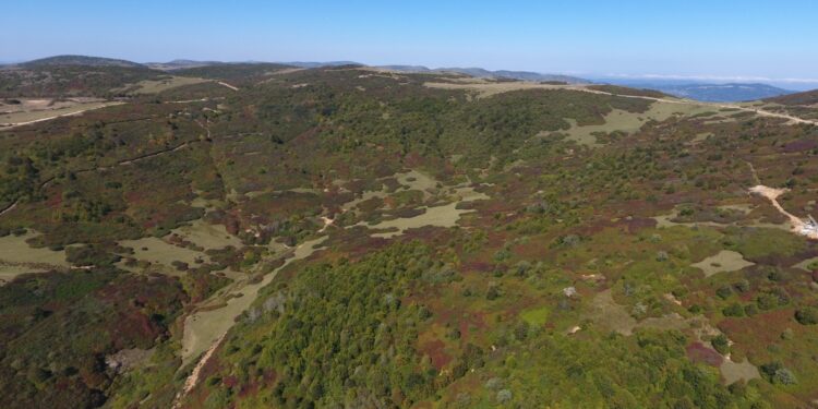 Korgan’da madene karşı ortak mücadele çağrısı