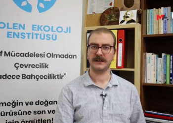 ‘Savaşın yarattığı ekolojik kırıma karşı kolektif mücadele gerekli’