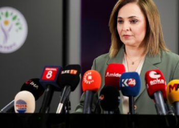 Ayşegül Doğan: Yasal adımlar hızla atılmalı