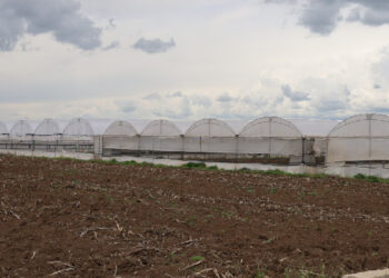 Girdi maliyetleri nedeniyle çiftçi üretemez halde: Halimiz ortada