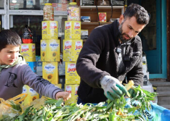 Mûş’ta Gûlîk tezgahlarda yerini aldı