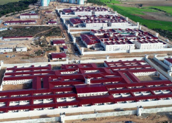 TİHV hekimi Yaviç: S Tipi cezaevleri kapatılmalıdır