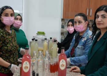 Kadın, Emek ve Kültür-Sanat Buluşması’nın 2’ncisi düzenlenecek