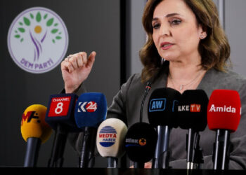 Ayşegül Doğan: Sürece dair risklerin ortadan kalkması için yasal adımlar atılmalı