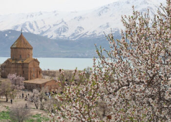 Akdamar Adası baharın rengine büründü