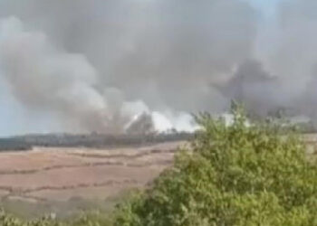 İstanbul’da ormanlık alanda yangın