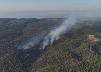 İstanbul’daki orman yangınında 14 hektarlık alan zarar gördü