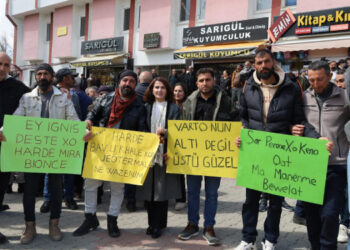 Varto ve Karlıova’daki ekoloji mitinglerine çağrı