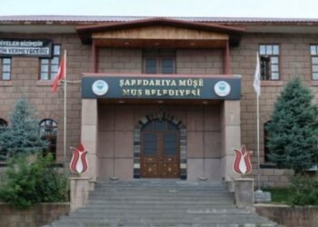 ‘Kadın bakış açısıyla Mûş’u yeniden inşa edeceğiz’