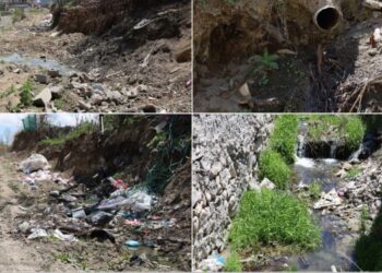 DSİ’nin temizlemediği kanal hem gölü hem çevreyi kirletiyor