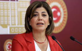Meral Danış Beştaş: Statü ve çerçeve yasa için zaman kaybedilmemeli