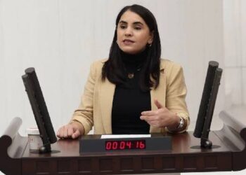 DEM Parti’den ‘Meclis tutanaklarındaki Kürtçe sansüre’ ilişkin dilekçe