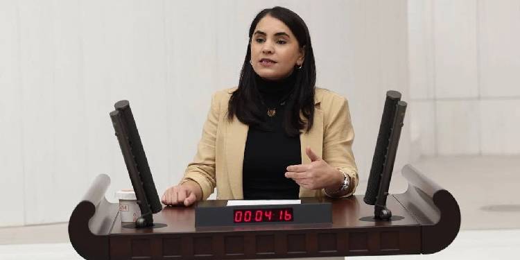 DEM Parti’den ‘Meclis tutanaklarındaki Kürtçe sansüre’ ilişkin dilekçe DEM Parti’den ‘Meclis tutanaklarındaki Kürtçe sansüre’ ilişkin dilekçe