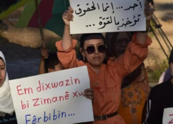 Til Temir’da Kürtçe tabelanın indirilmesi protesto edildi