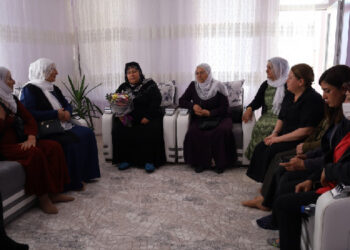 Rojin Kabaiş’in annesine ziyaret