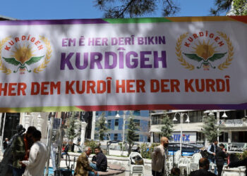 Wan’da dil bayramı şenliği