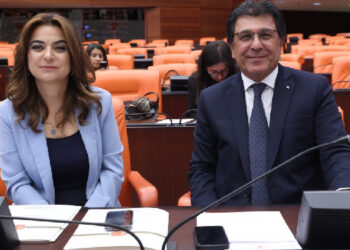 Gülistan Kılıç Koçyiğit: “Turkomania Fest” hakkında derhal soruşturma başlatılmalı Gülistan Kılıç Koçyiğit: “Turkomania Fest” hakkında derhal soruşturma başlatılmalı