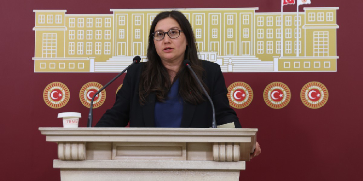 Burcugül Çubuk: Polis kadın öğrenci taciz etti Burcugül Çubuk: Polis kadın öğrenci taciz etti