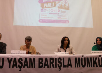 Barış çağrısı: Kalıcı barış için demokratik ve katılımcı süreç şart