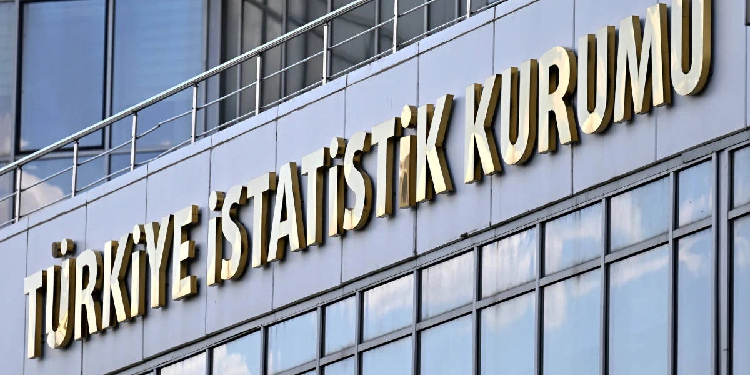 TÜİK: Aileler küçülüyor, tek kişilik yaşam artıyor TÜİK: Aileler küçülüyor, tek kişilik yaşam artıyor