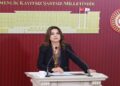 Gülistan Kılıç Koçyiğit: İktidar NATO’ya güvenlik vitrini sunuyor