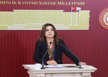 Gülistan Kılıç Koçyiğit: İktidar NATO’ya güvenlik vitrini sunuyor