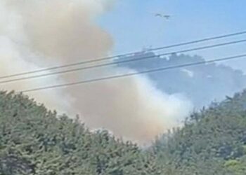 Manisa’da ormanlık alanda yangın çıktı