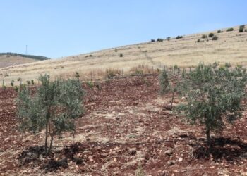 Tut Dağı çevresindeki mermer ve taş ocaklarına tepki: Yaşam alanlarımız yok ediliyor