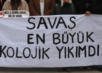 ‘Demokratik dönüşüm ekolojik bir barış süreciyle mümkün’
