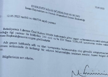 Kayyımdan Gürlek’in basın müşavirinin eşine kıyak: Memur yapıp, jet hızıyla Ankara’ya atadı