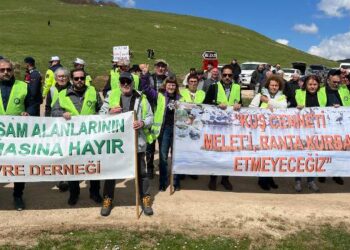 Çevrecilerden AKP’li isimlere tepki