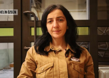 Fidan Ataselim: Kadın düşmanı, eşitlik karşıtı hamleler erkekliği besliyor