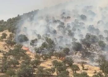 Çiyayê Sîte’de yangın