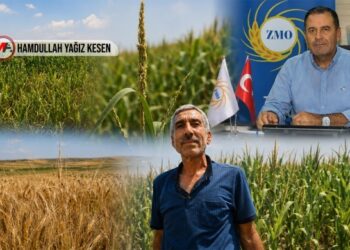 Yağmurun getirdiği ‘bereket’ de maliyetlere yetmedi